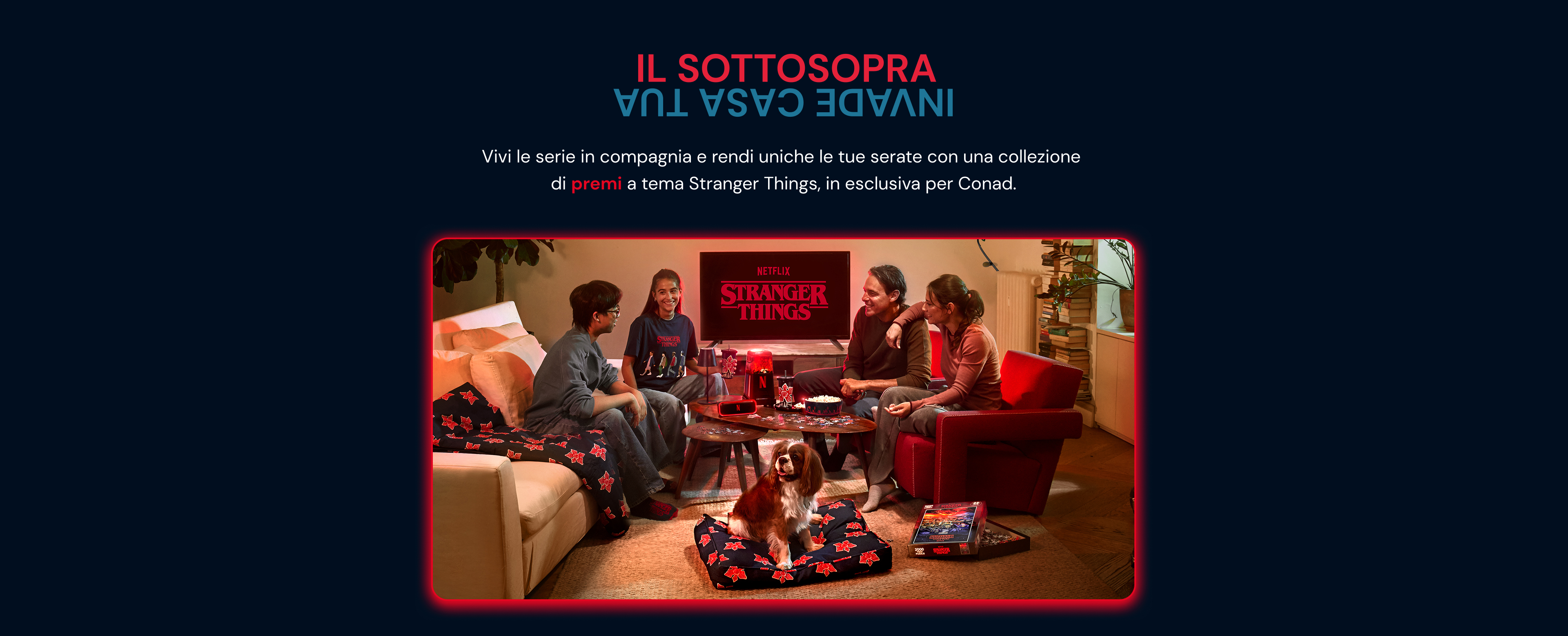 www.conad-itaa.sbs