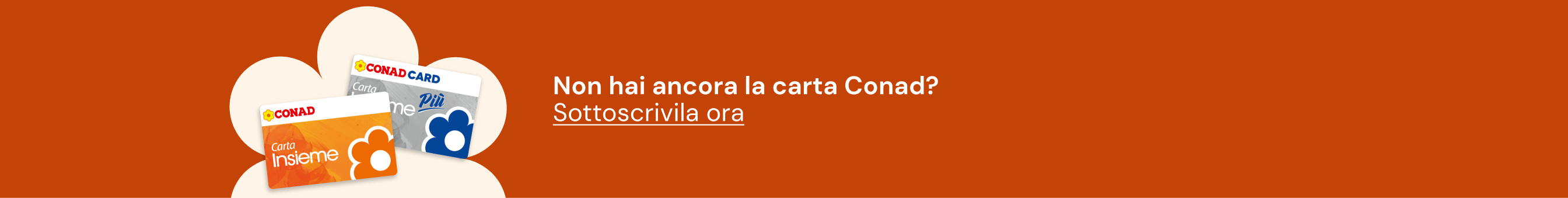 www.conad-itaa.sbs