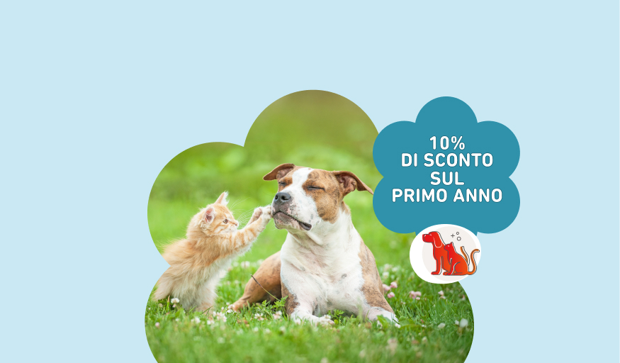 www.conad-itaa.sbs