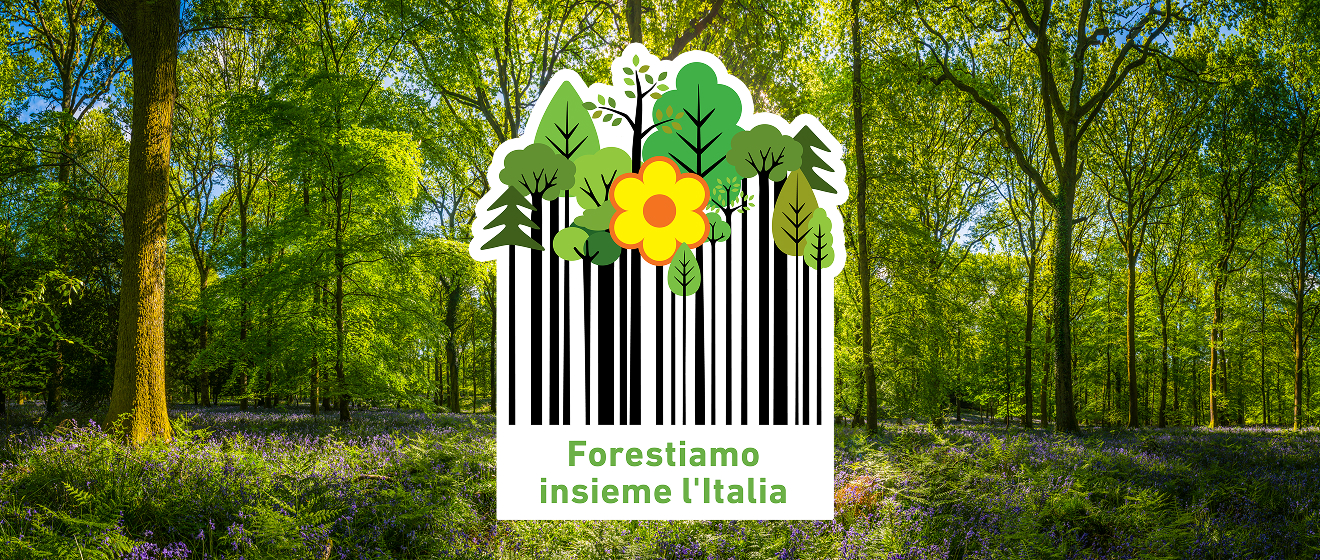 www.conad-itaa.sbs