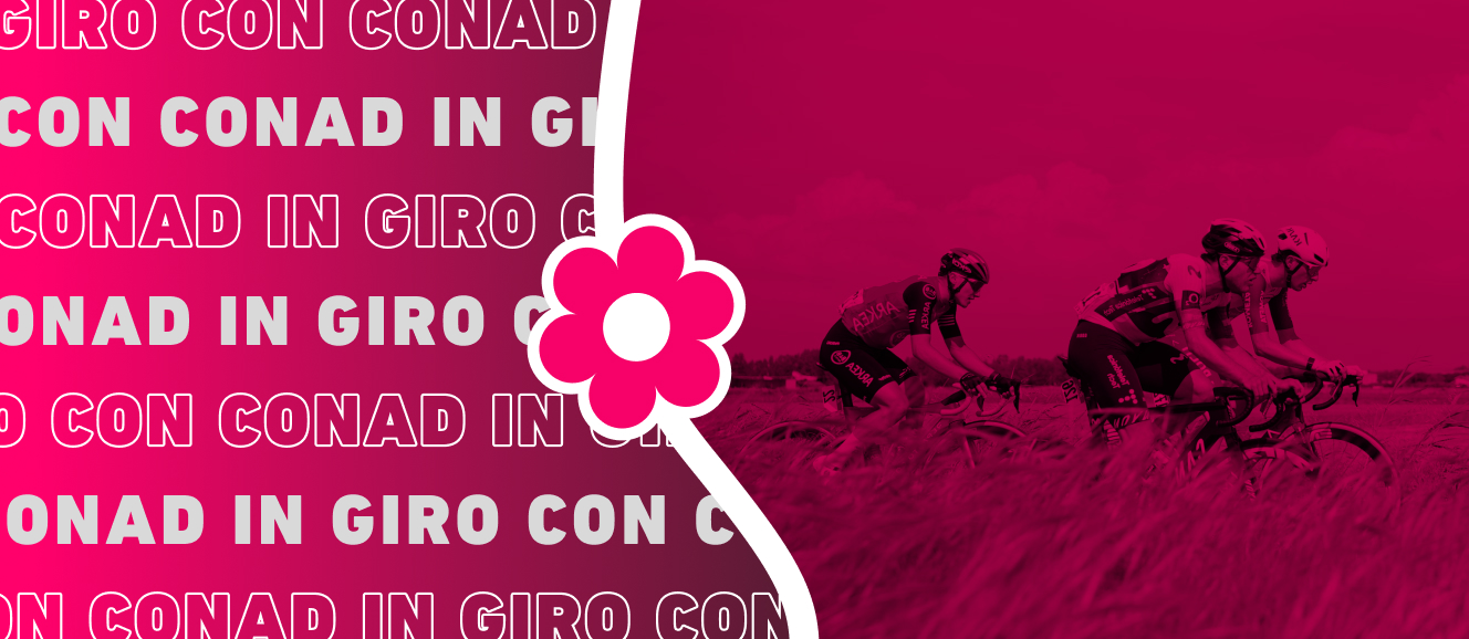 www.conad-itaa.sbs