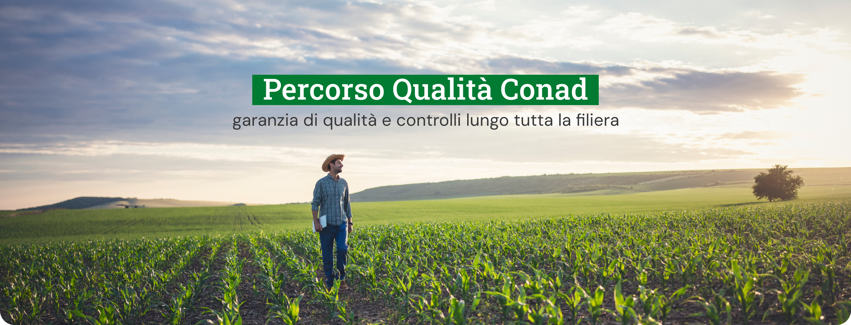www.conad-itaa.sbs